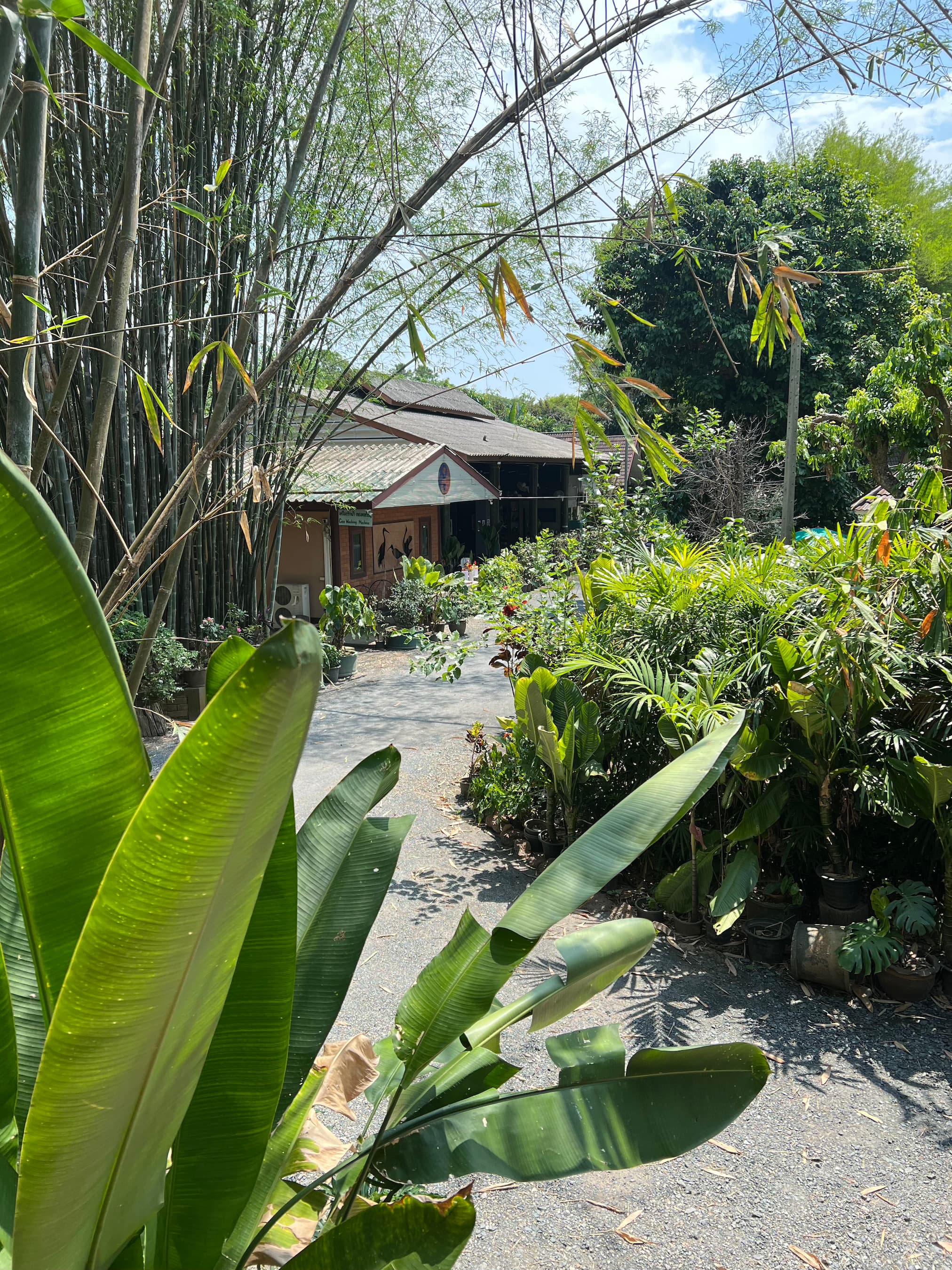 Studio 88 Artist Residency